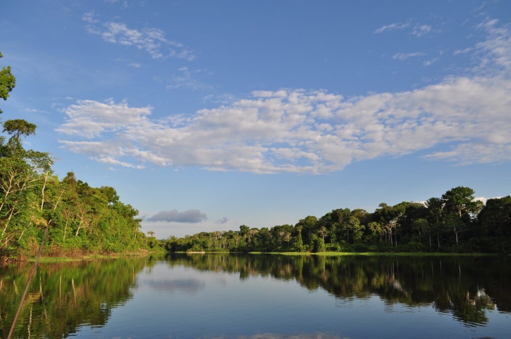 Nodo Amazonas 3