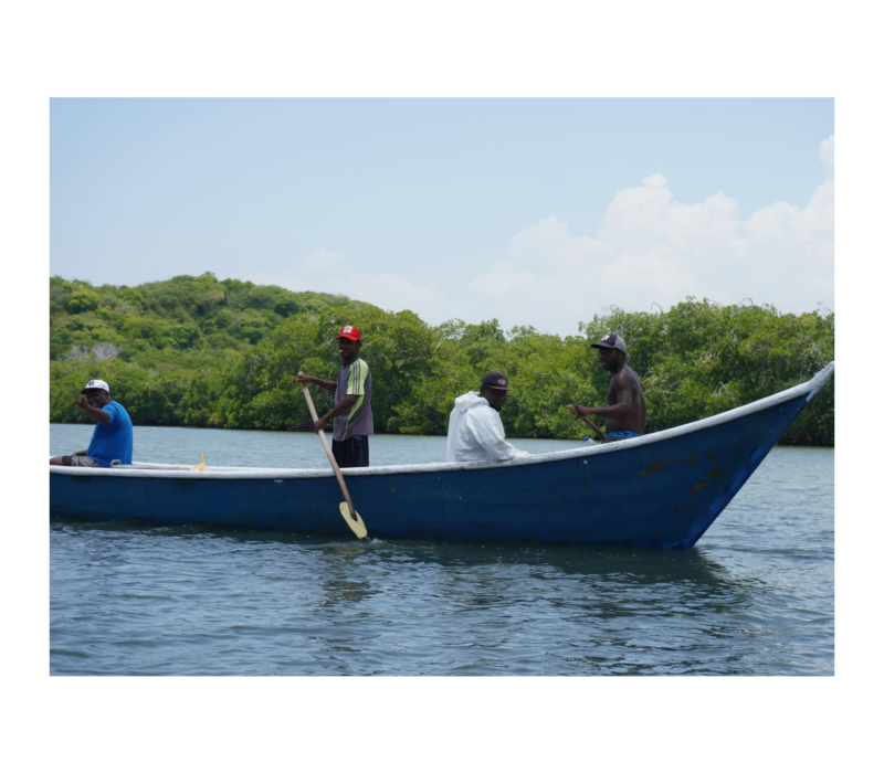 Imagen Nodo Caribe